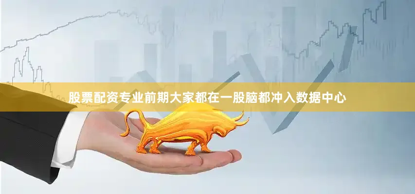 股票配资专业前期大家都在一股脑都冲入数据中心