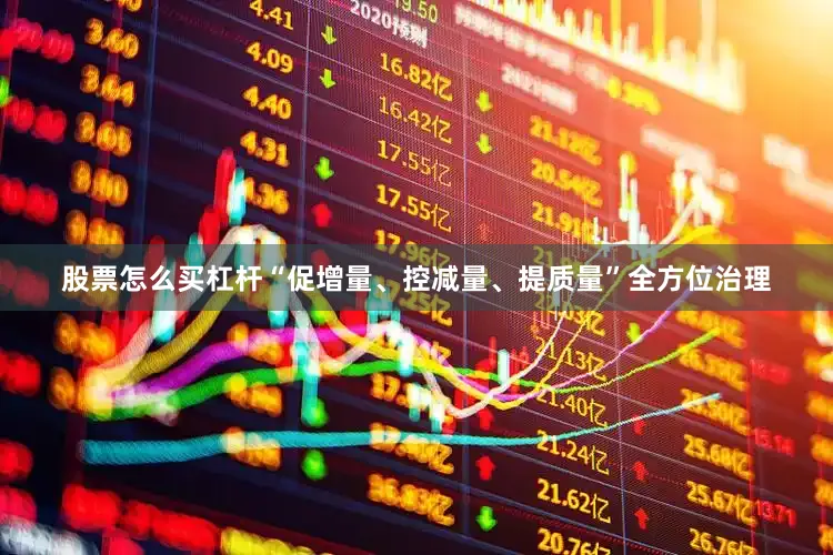 股票怎么买杠杆“促增量、控减量、提质量”全方位治理