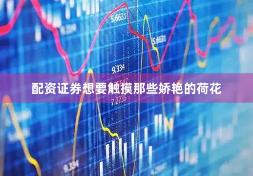 配资证券想要触摸那些娇艳的荷花