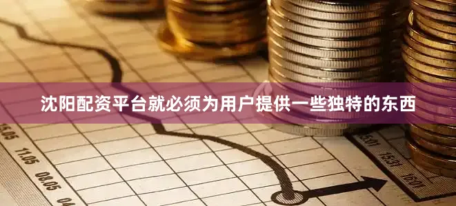 沈阳配资平台就必须为用户提供一些独特的东西